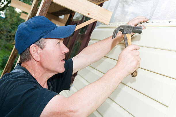 Best Custom Trim and Detailing for Siding  in Rapid Valley, SD