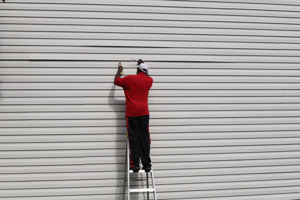 Best Steel Siding Installation  in Rapid Valley, SD