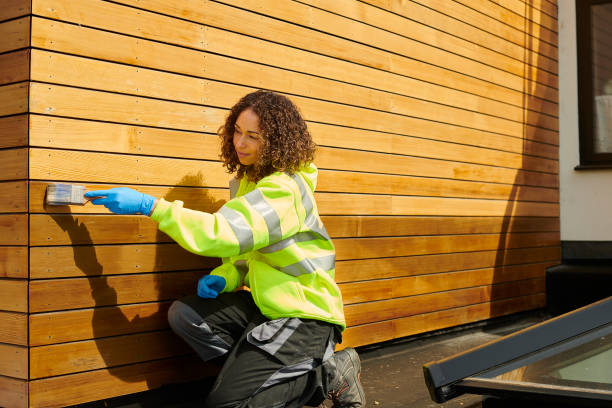 Best Stone Veneer Siding  in Rapid Valley, SD
